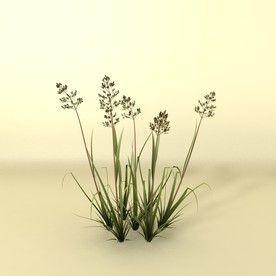 花草模型 植物模型 花卉模型