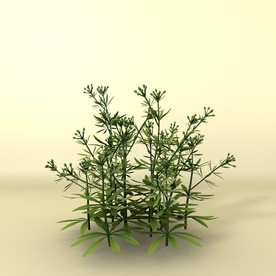 花草模型 植物模型 花卉模型