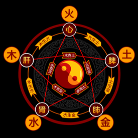 五行五脏高清版