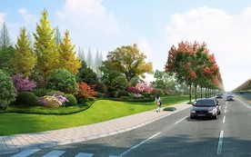 道路组团绿化效果图