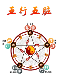 中医五行五脏对应表