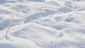 雪地冬天高清视频