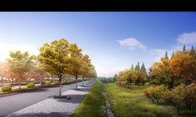 道路绿化景观设计效果图