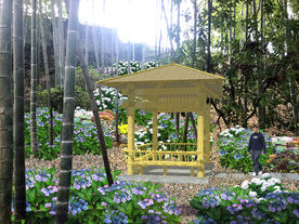 竹亭景观设计效果图