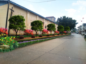 乡村道路景观设计效果图