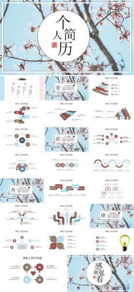 求职学生个人简历PPT素材