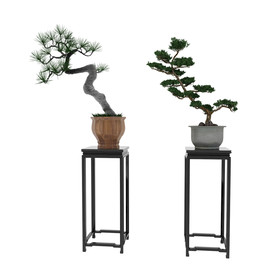 榕树松树盆栽3d模型