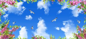 蓝天白云鸽子鲜花