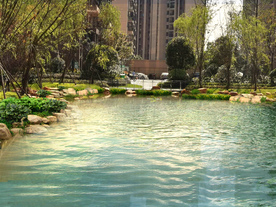 池塘驳岸水池景观设计