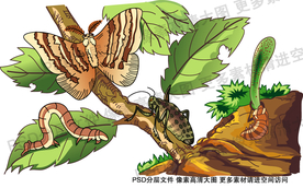 昆虫卡通 昆虫插画