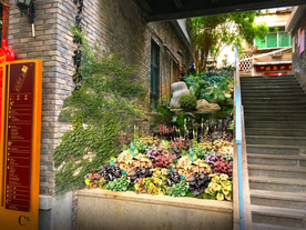 台阶花境景观设计效果图