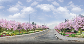 乡村道路花境景观设计