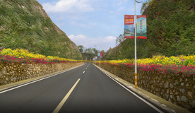乡村道路花境景观设计