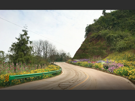 乡村道路花境设计