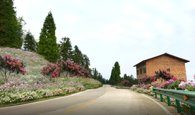 紫薇花海花境景观设计