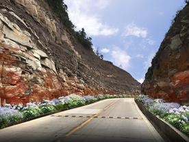 乡村道路花境景观设计