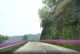 乡村道路花境景观设计