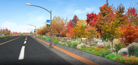 乡村道路花境景观设计