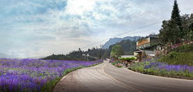 乡村花海花境景观设计