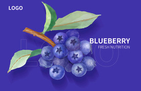 手绘蓝莓