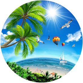 圆形蓝天白云海鸥吊顶天顶壁画