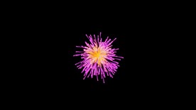 烟花爆开动画带通道