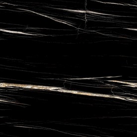 黑金花 金龙黑高清瓷砖设计