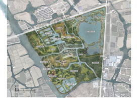 美丽乡村规划设计平面图