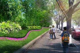 市政道路斜坡绿化