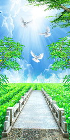 清新自然天空石路走道玄关