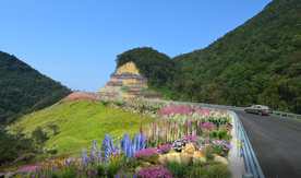 道路花境景观设计效果图