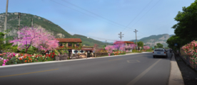 美丽乡村花境景观设计效果图