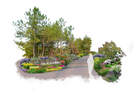 道路花境景观设计效果图