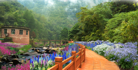 溪流花境景观设计效果图