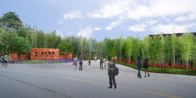 入口广场竹林设计效果图