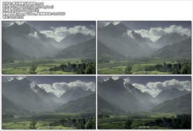 1080P霞光照耀乡间 田野