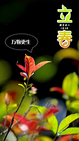 节气海报