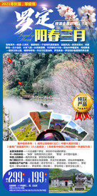 春节海报 定 广东 云浮 罗定