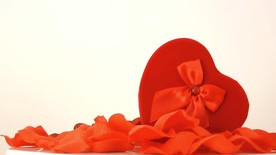 情人节动态高清视频