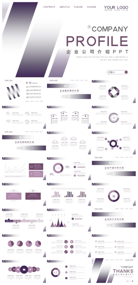 商务会议汇报项目介绍PPT
