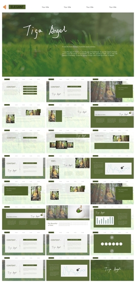 求职学生个人简历PPT素材