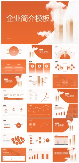 商务会议汇报项目介绍PPT