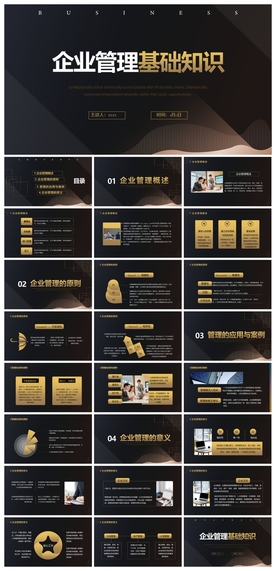 商务会议汇报项目介绍PPT