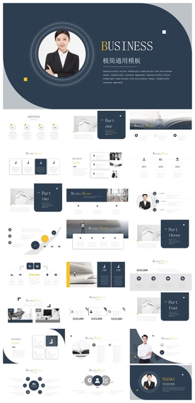 商务会议汇报项目介绍PPT