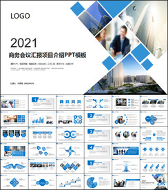 商务会议汇报项目介绍PPT