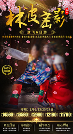 西藏旅游海报林芝桃花宴