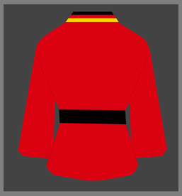 跆拳道服装样机图片