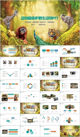 爱护动物动物世界野生动物PPT