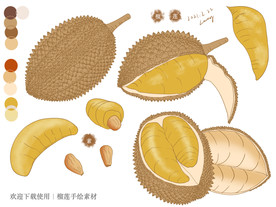 榴莲手绘素材