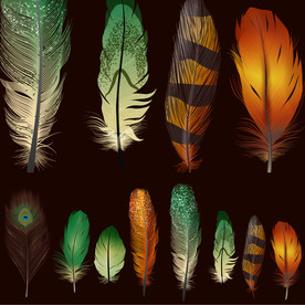 逼真羽毛设计